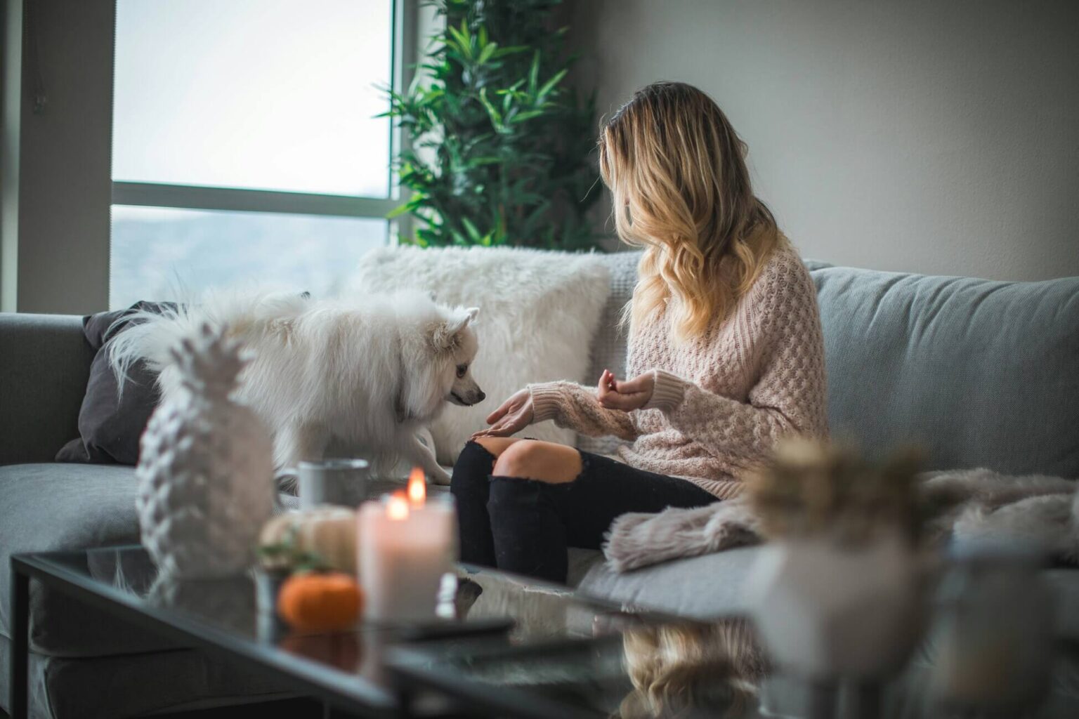 Single Woman Living Alone At Home On Sofa With White German Spitz Dog - Gender Disparity For For First-Time Buyers In London