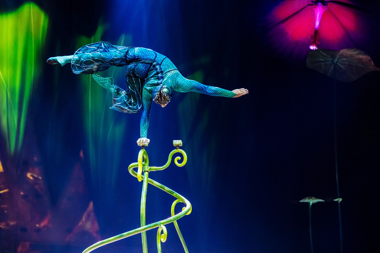 An acrobat balances mid-air during Cirque du Soleil OVO, surrounded by vivid lighting and insect-inspired stage design.