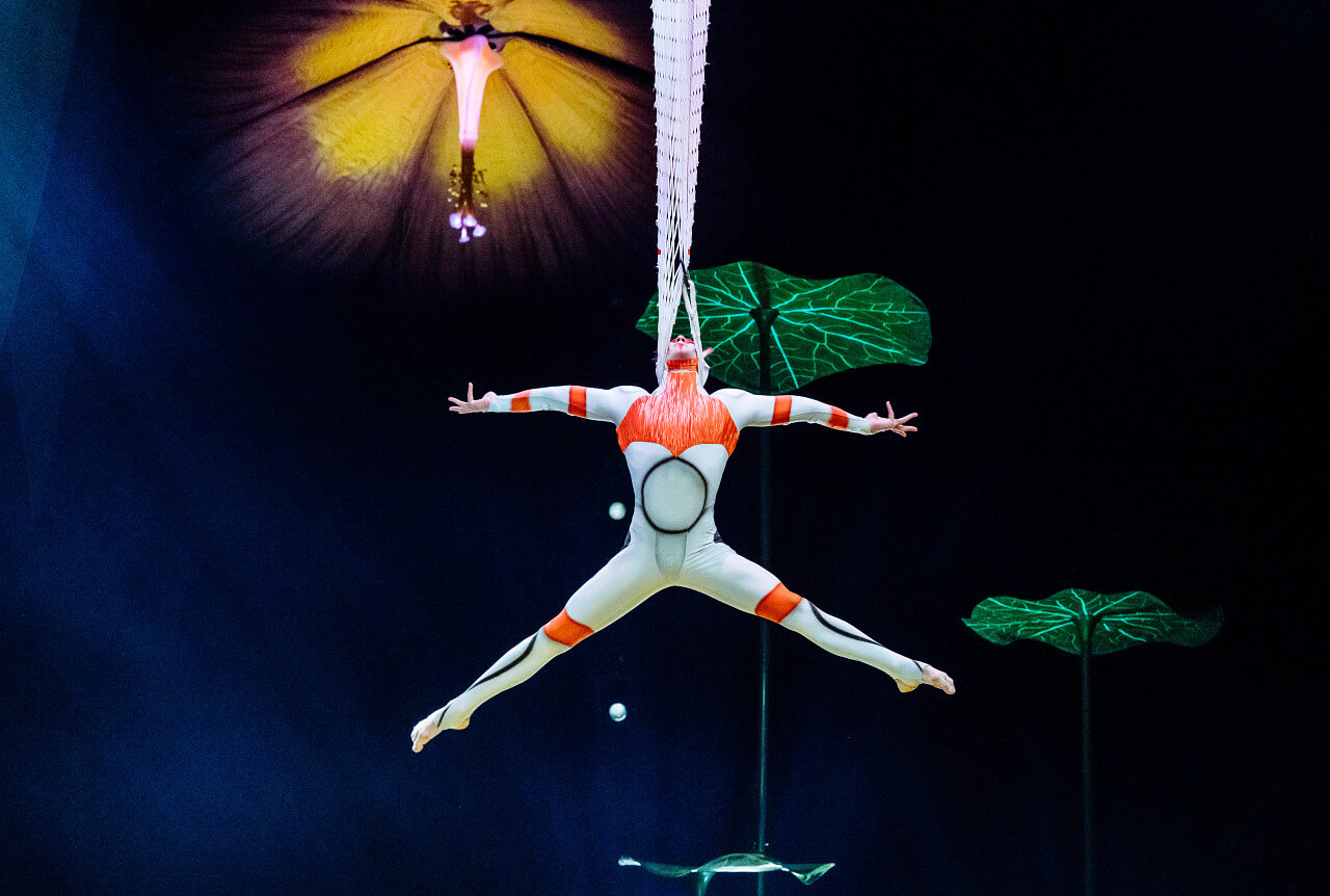 A solo aerial performer suspended on silks during Cirque du Soleil OVO, framed by insect-inspired set design and dramatic stage lighting.