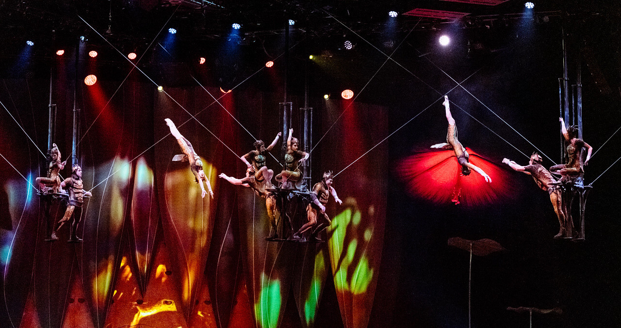 Ensemble acrobats perform a suspended aerial sequence during Cirque du Soleil OVO at the Royal Albert Hall, showcasing the show’s insect-inspired choreography and dramatic lighting.