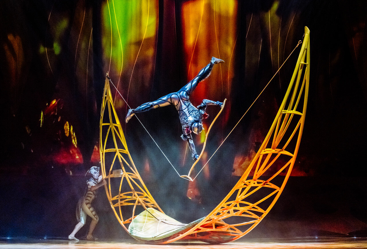 An acrobat balances on a wire-supported apparatus during a precision balancing act in Cirque du Soleil OVO, framed by insect-inspired set design and dramatic lighting.